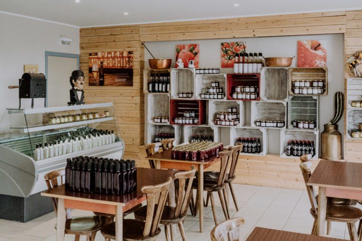 Himbeerplantage Framboiseraie