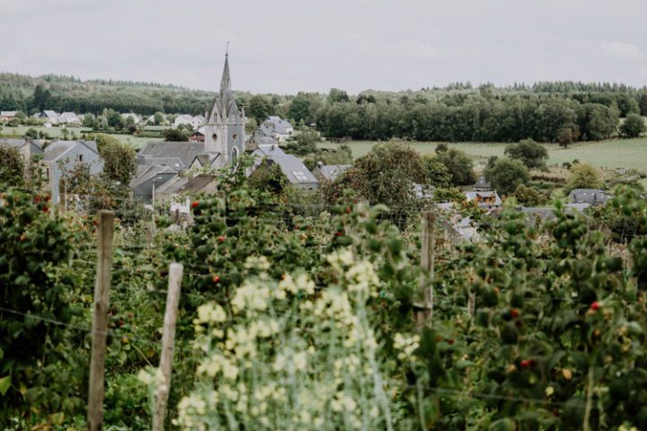 Himbeerplantage Framboiseraie
