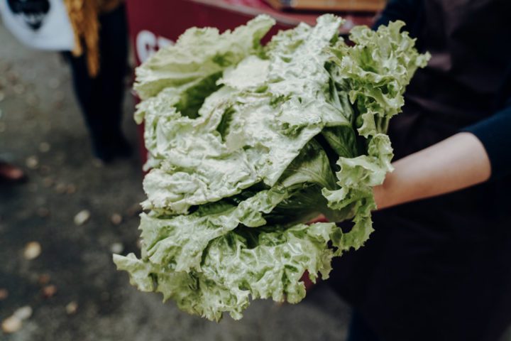 Steirischer Kochkurs – der Genussbauernhof Hillebrand