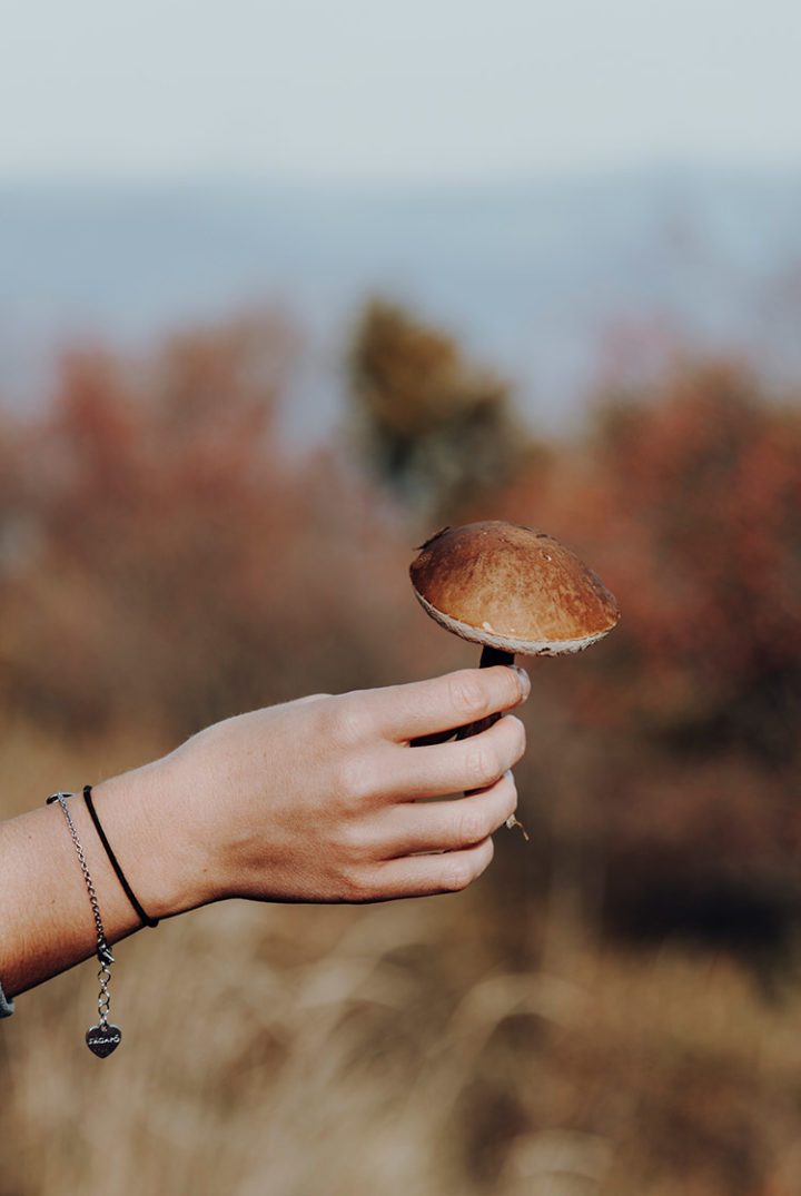 Wanderung auf den Monte Cadrigna