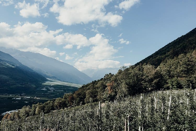 Törggele Ausflug und Wanderung auf einem Waalweg