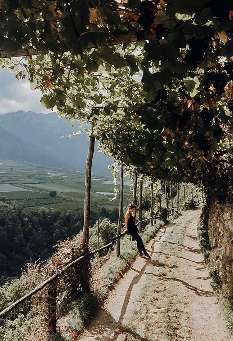 Törggele Ausflug und Wanderung auf einem Waalweg