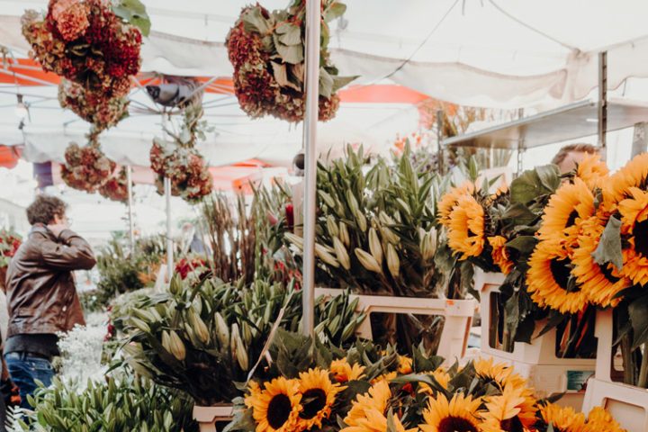 Columbia Road Flower Market