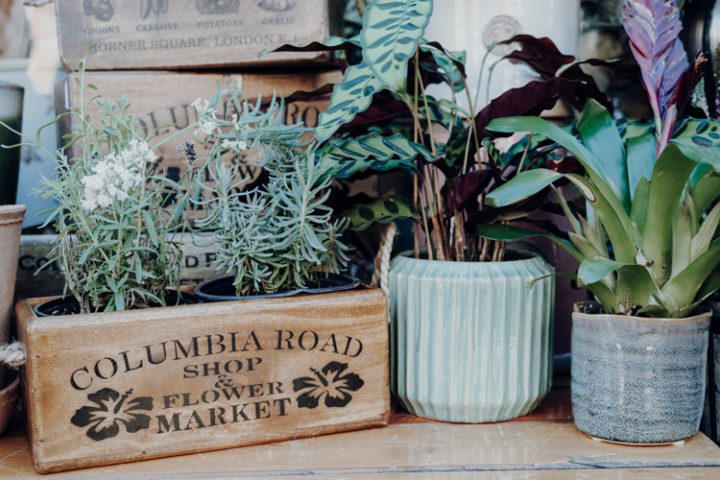 Columbia Road Flower Market