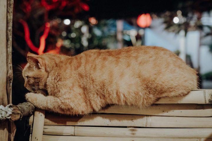 Klapa Klum Restaurant & Bar Koh Lanta