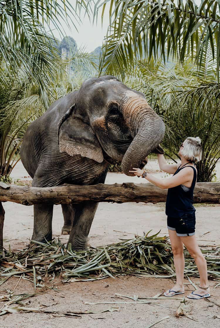 Elephant Sanctuary in Krabi