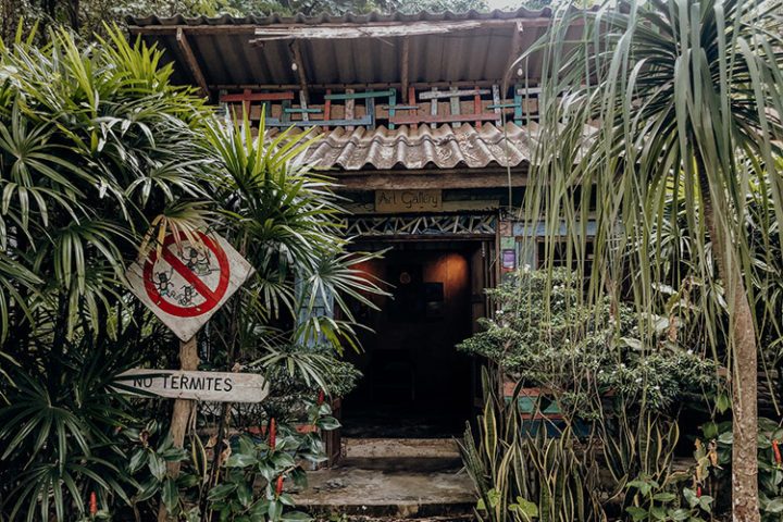 Chaba Cafe & Gallery