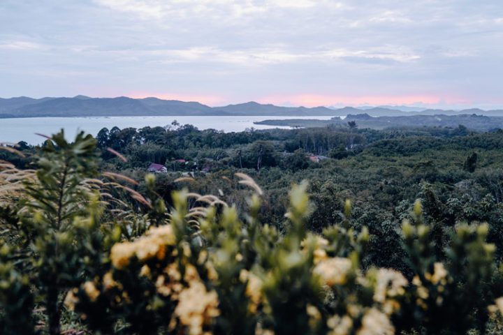 Rice Paddy Viewpoint Restaurant Koh Yao Noi