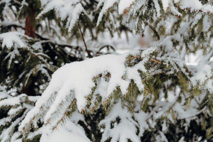 Ruhpolding – Winterwanderung entlang der Urschlauer Ache