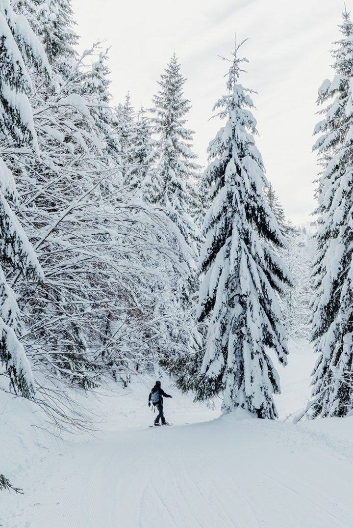 Reit im Winkl - Skifahren im Skigebiet Winklmoosalm Steinplatte