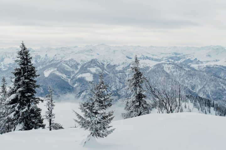 Reit im Winkl - Skifahren im Skigebiet Winklmoosalm Steinplatte