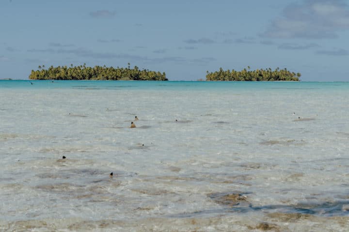 Ausflug Blaue Lagune Rangiroa Tuamotu Archipel