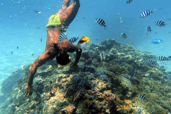 Schnorcheln Bora Bora – Französisch Polynesien