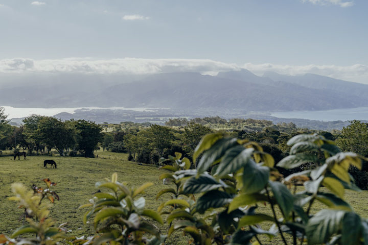 Plateau de Taravao Tahiti