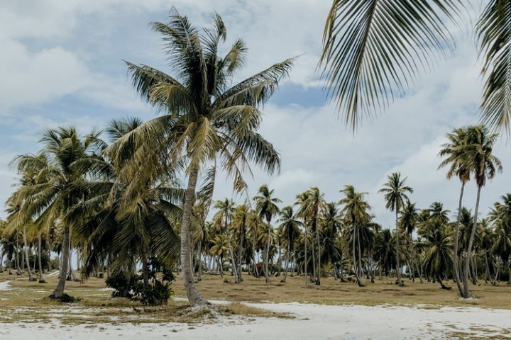 Rangiroa Tuamotus Französisch Polynesien
