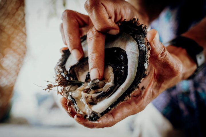 die Perlenfarm Gauguins Pearl Rangiroa