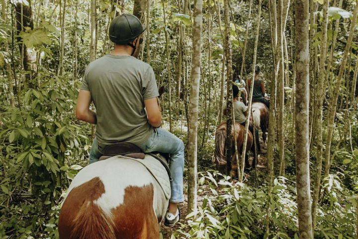 Ranch du Plateau Rauvau Afaahiti – Reiten auf Tahiti
