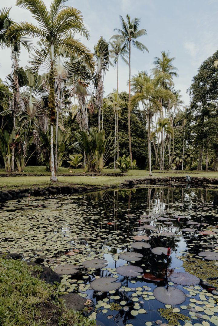 Botanischer Garten Tahiti