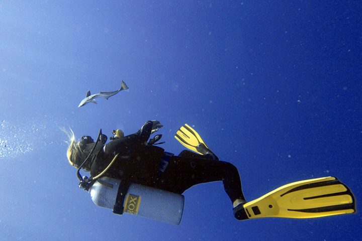 Tauchen Rangiroa Französisch Polynesien