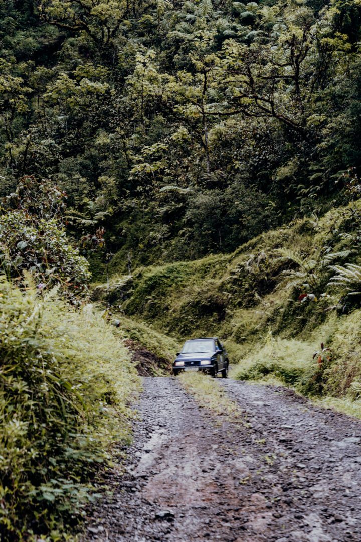 Tahiti Safari – Jeeptour durch Inselinnere