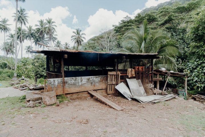 Kopraplantage Tal von Taipivai Marquesas