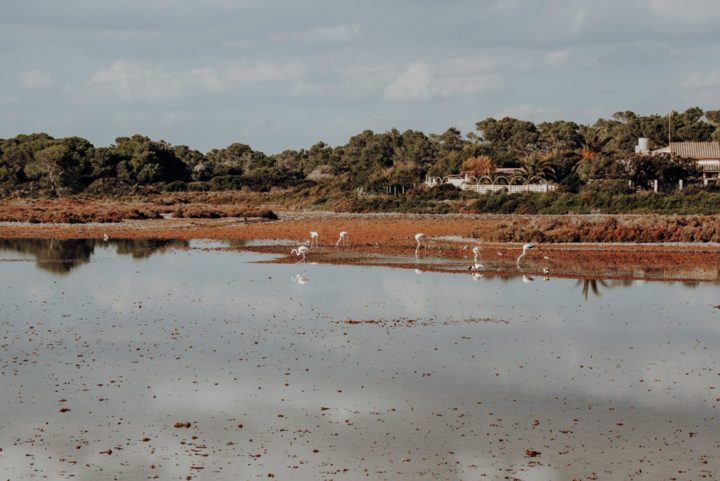 Salines de S’Avall Mallorca