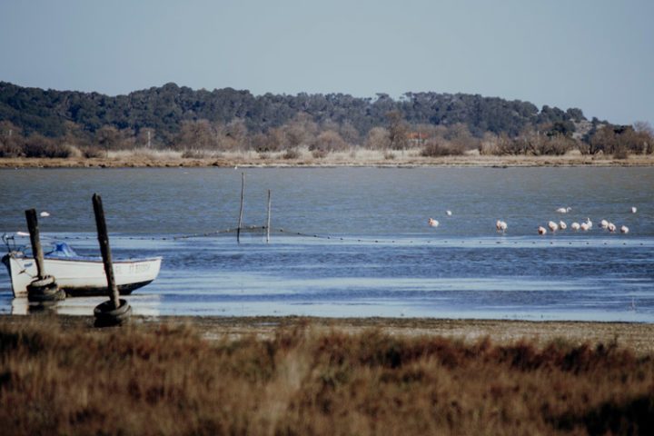 Bages – Besuche das charmante Fischerdorf Bages, ein Mekka für Windsurfer und Foodies im Languedoc-Roussillon
