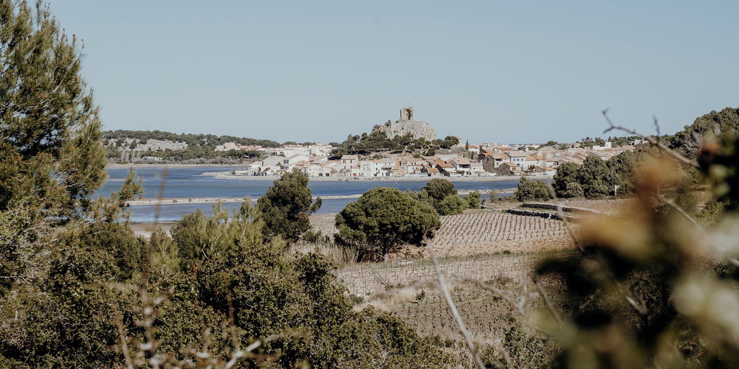 Languedoc-Roussillon: Geheimtipps & Lieblingsorte
