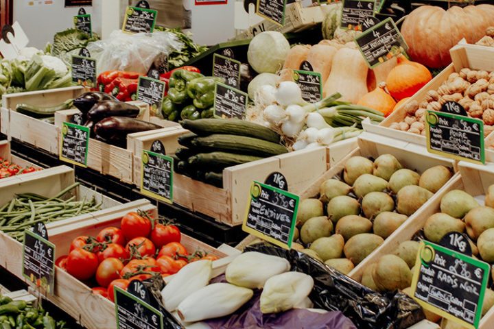 Narbonne – der perfekte Ausgangspunkt um das Languedoc-Rousillon zu erkunden