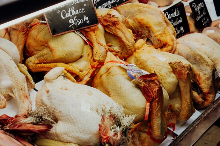 Narbonne – der perfekte Ausgangspunkt um das Languedoc-Rousillon zu erkunden