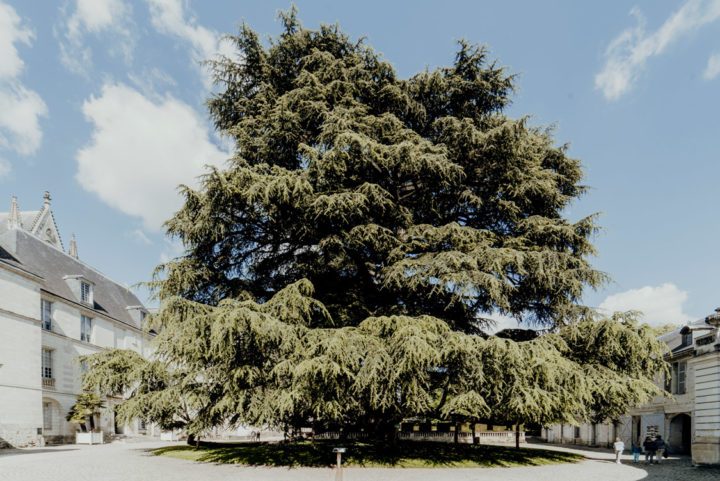 Der Palais des Archevêques Tours