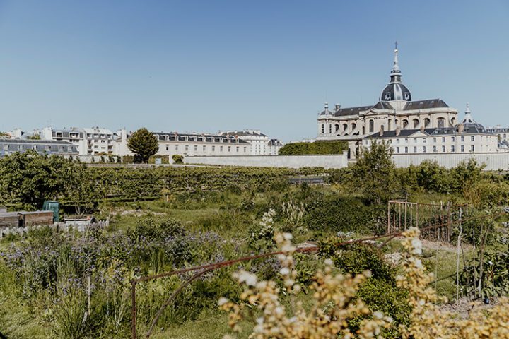 Genieße die Ruhe im Potager du Roi – der Gemüsegarten des Königs