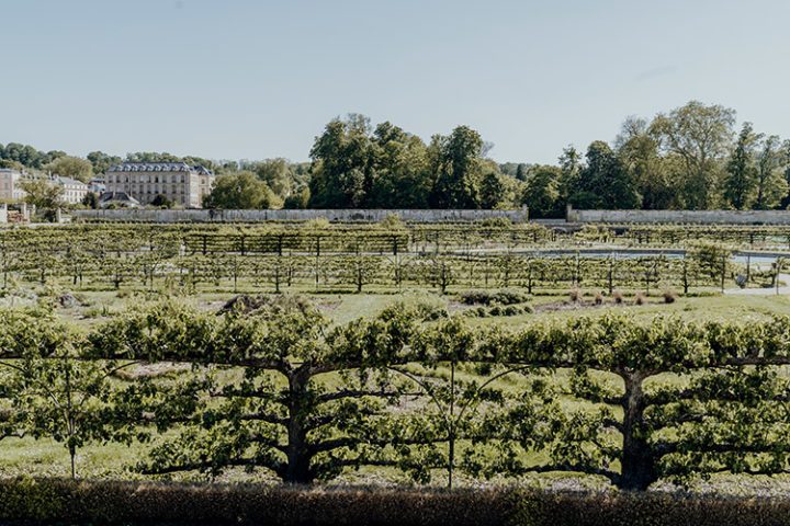 Genieße die Ruhe im Potager du Roi – der Gemüsegarten des Königs