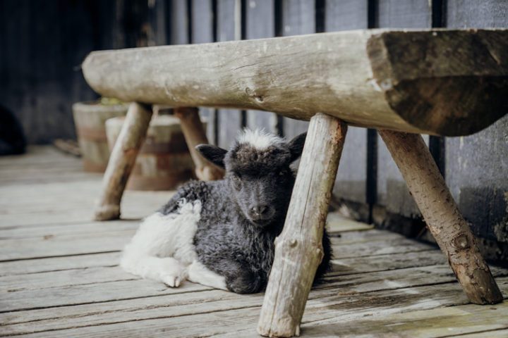 Die schönsten Orte auf den Färöer Inseln – Kirkjubøur