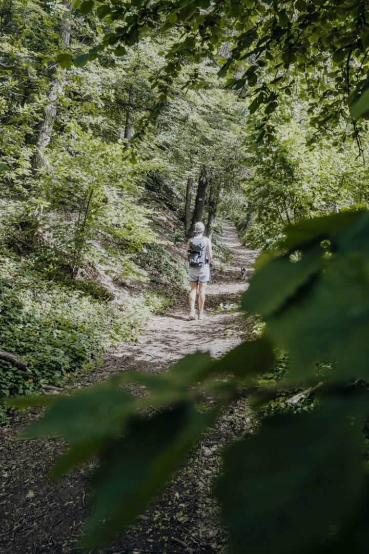 Wanderwege im Nürnberger Land – Tipp 5: Die Spalter Hügellandtour