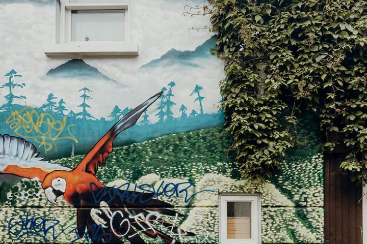 The Lanes und North Laine Brighton