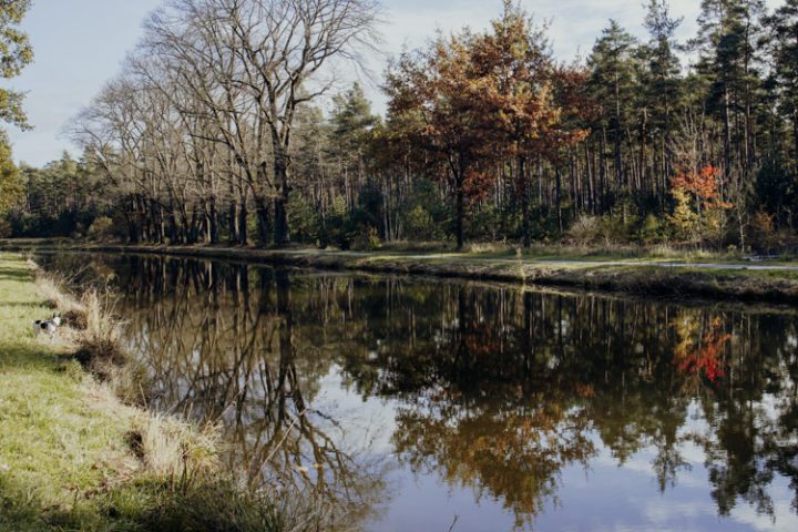 Wanderwege im Nürnberger Land – Tipp 1: Wandern vom Brückkanal zur Schwarzachklamm