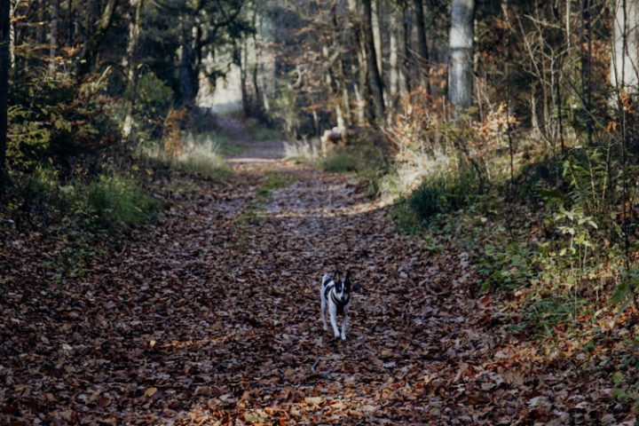 Wanderwege im Nürnberger Land – Tipp 1: Wandern vom Brückkanal zur Schwarzachklamm