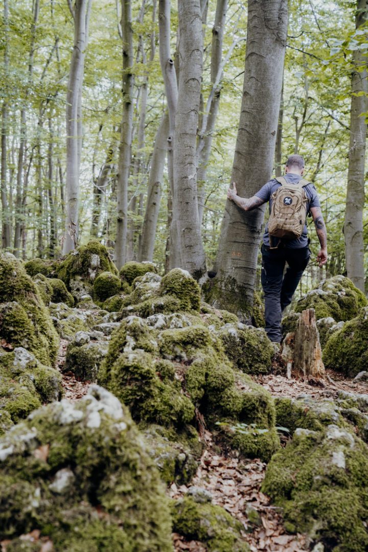 Wanderwege im Nürnberger Land – Tipp 2: Wandern auf dem Eibgrat