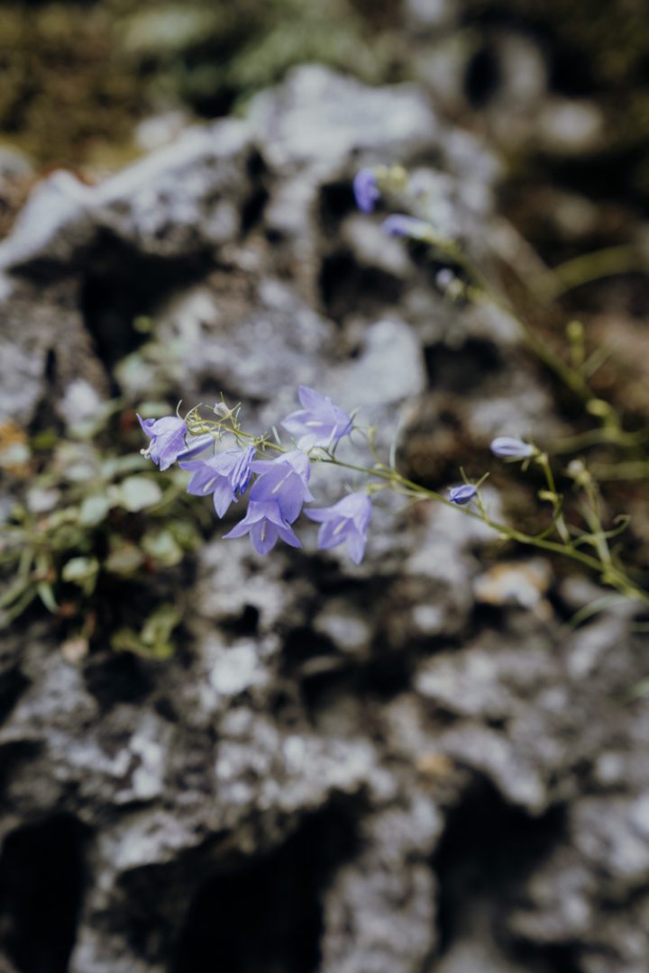 Wanderwege im Nürnberger Land – Tipp 2: Wandern auf dem Eibgrat