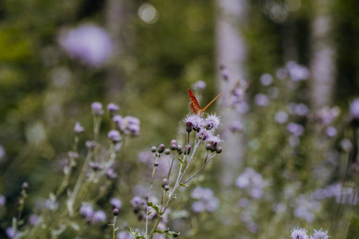 Wanderwege im Nürnberger Land – Tipp 2: Wandern auf dem Eibgrat