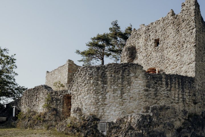 Wanderwege im Nürnberger Land – Tipp 3: Wandern auf dem Zauberwald-Orchideenweg
