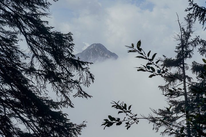 Frühaufsteher-Wanderung zur Buchauer Alm