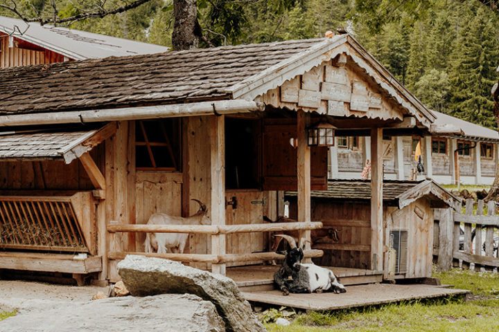 Radfahren am Achensee – E-Bike Tour durch den Naturpark Karwendel