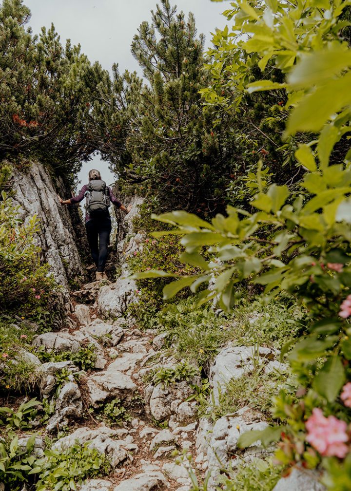 Gipfelstürmer-Wanderung am Rofan