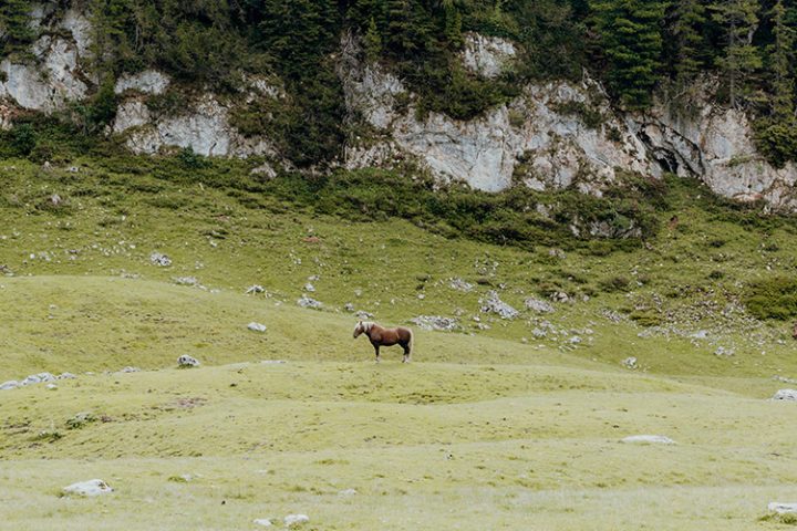 Gipfelstürmer-Wanderung am Rofan