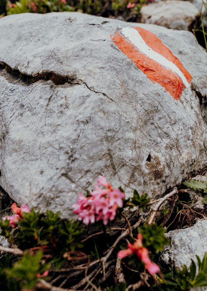 Gipfelstürmer-Wanderung am Rofan