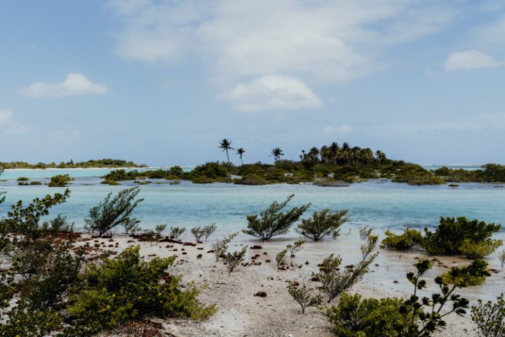 Ein Ausflug zur Île aux oiseaux – Motu Puarua Tikehau Tuamotus