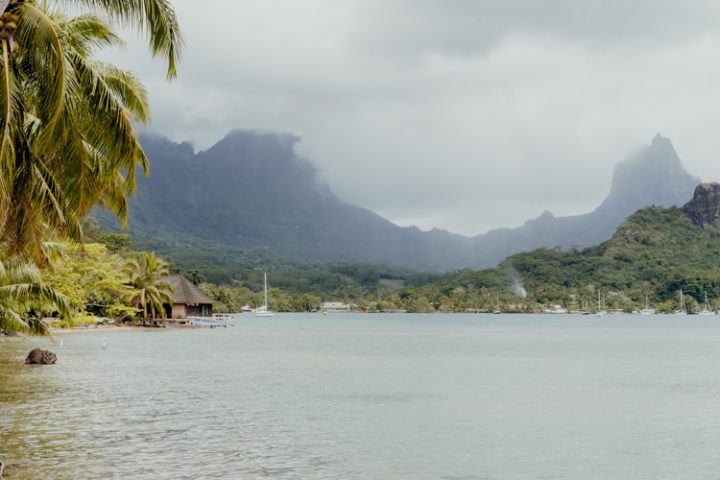 Cook's Bay Moorea Französisch Polynesien