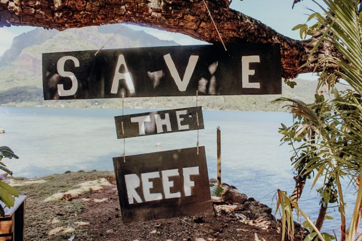 Coral Gardeners Moorea Französisch Polynesien